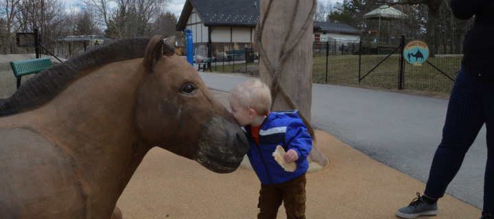 Neigh neigh - side of Fryes